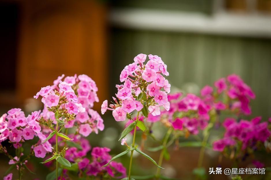 巨蟹和什么星座最配（浅谈与巨蟹座合得来的三大星座）