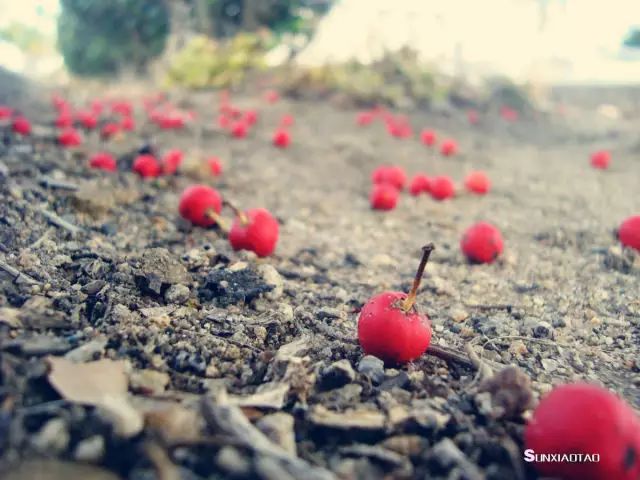 无监护权父母 同意移民_异地恋父母不同意_双方父母都不同意