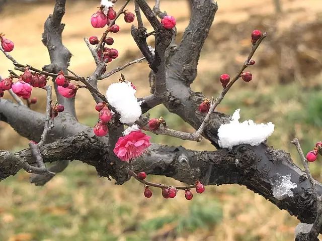 双方父母都不同意_无监护权父母 同意移民_异地恋父母不同意