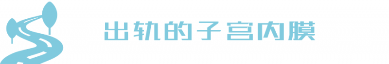 子宫切除老公出轨_老婆子宫切除老公出轨_出轨子宫切除老公怎么办