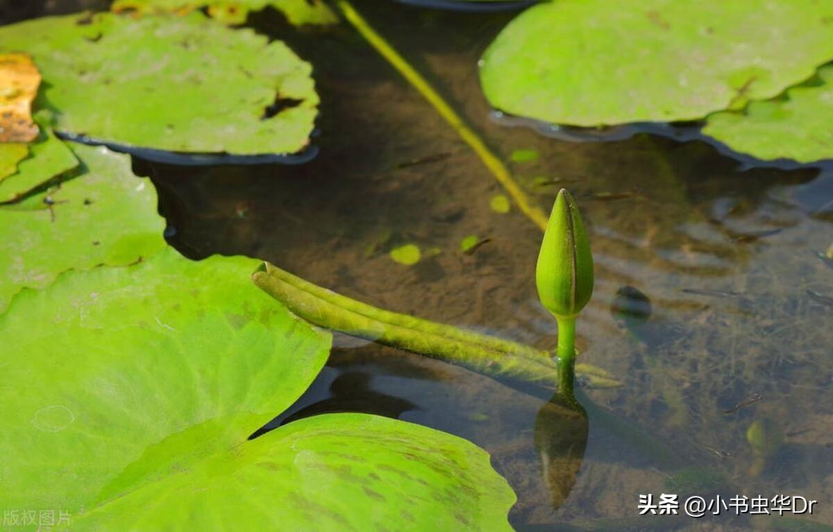 恋爱经验是什么意思_恋爱经验少的男人有什么特点_恋爱经验