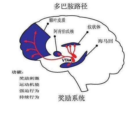 女人 提升自己_女人提升自己的书籍推荐_女人提升自己的文案