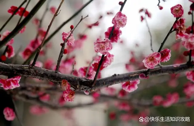 女人提升自己的文案_女人提升自己的书籍推荐_女人 提升自己