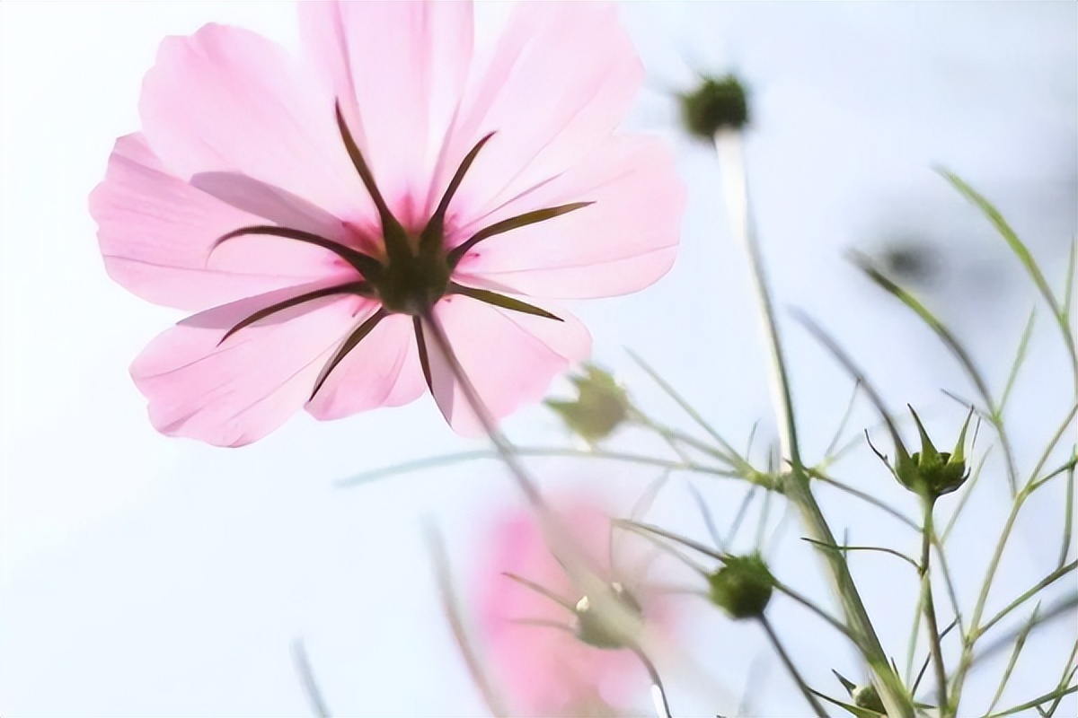 追求女孩子花的钱_追求女孩花的钱该要回来吗_花钱追女人