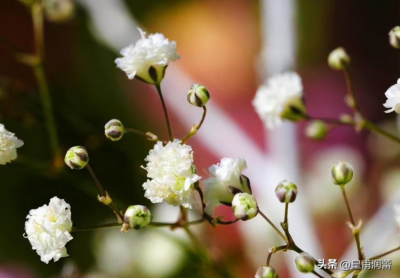 挽回话语_挽回的图片_一句话挽回爱情图片