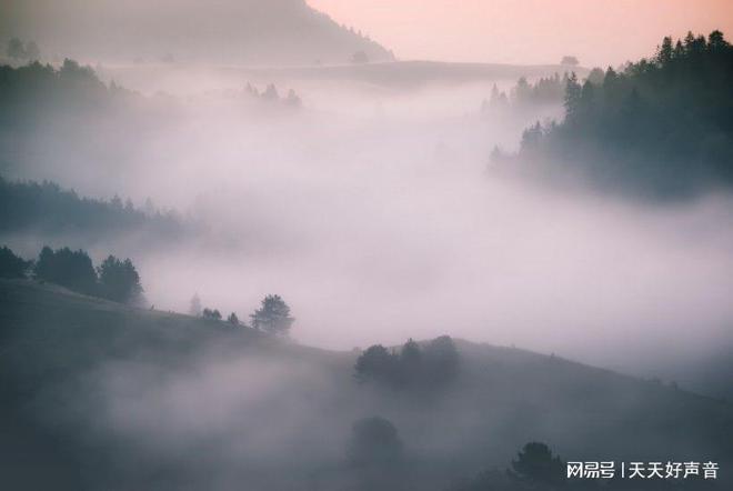 星座情感_星座情感语录_星座情感分析