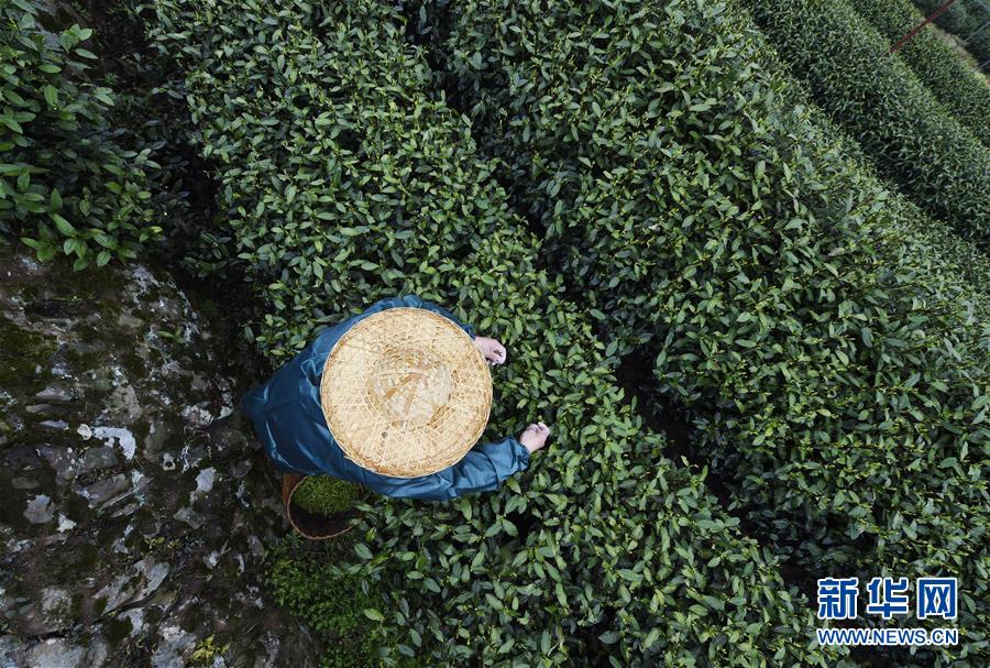 丈夫怎么挽回妻子心计，小伙想挽回初恋女友 但是她对你绝对称不上真爱