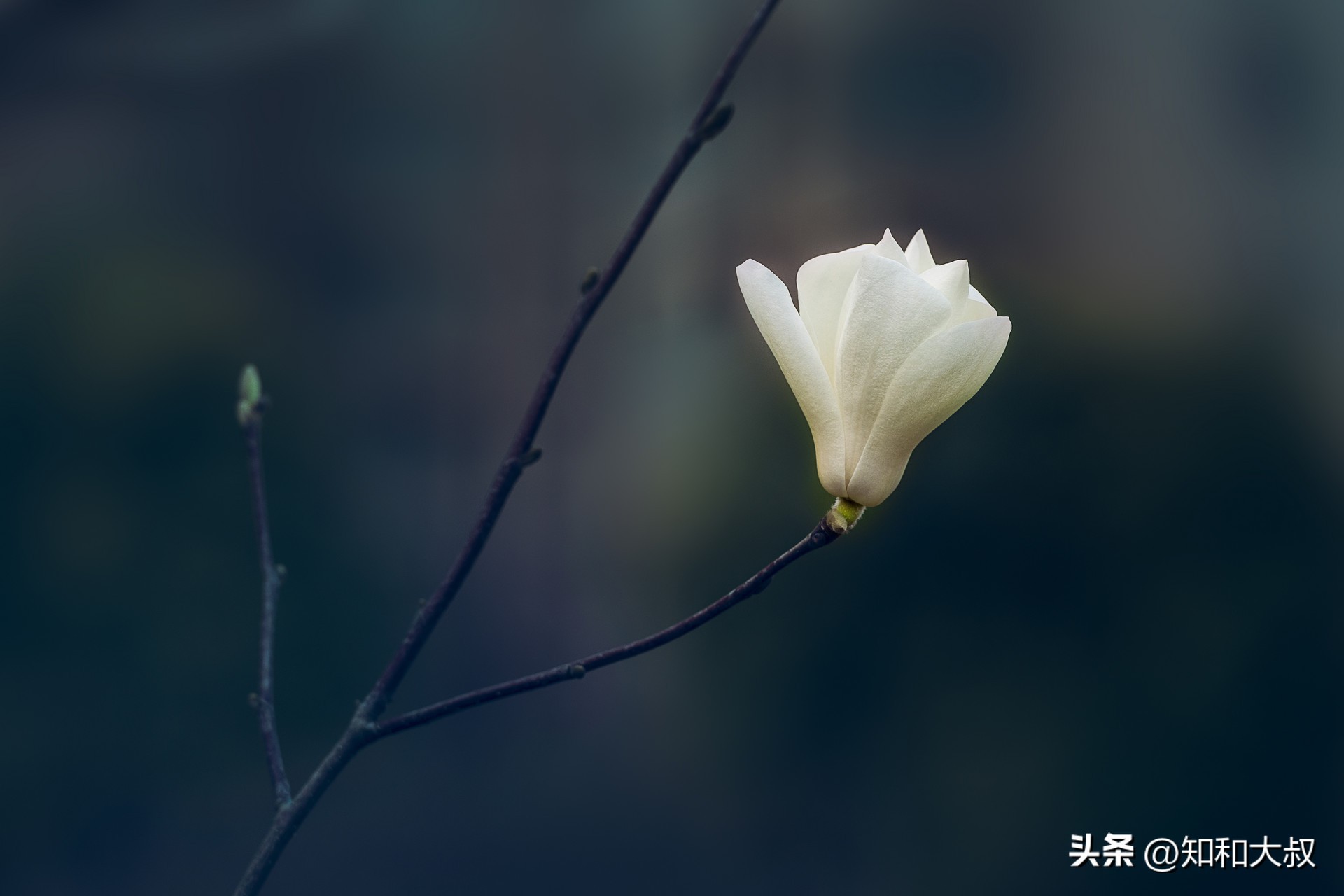 提升女性魅力的300个细节_提升女性魅力_女人提升魅力