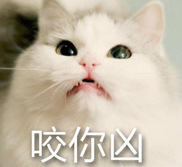 女孩们一定要注意_约女孩子要注意什么_注意女孩子要怎么回复
