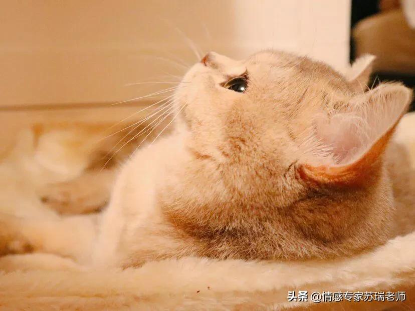 表白需要技巧的提问_表白提问技巧需要回答什么_表白提问技巧需要回答吗