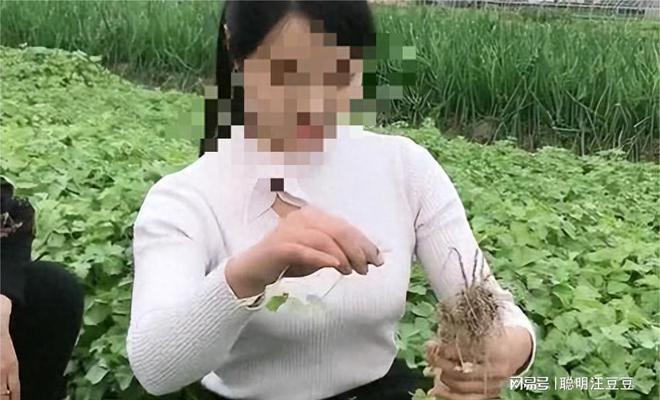 个人如何调查老婆出轨_老婆出轨调查取证_调查老婆出轨找哪个部门