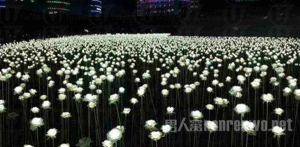 提升告白成功率 男生需掌握的告白技巧