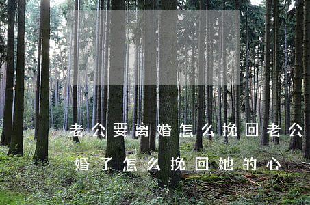 老公要离婚怎么挽回老公的心(老婆要跟我离婚了怎么挽回她的心)