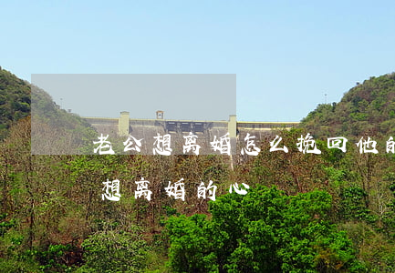 老公想离婚怎么挽回他的心(怎么样挽回老婆想离婚的心)