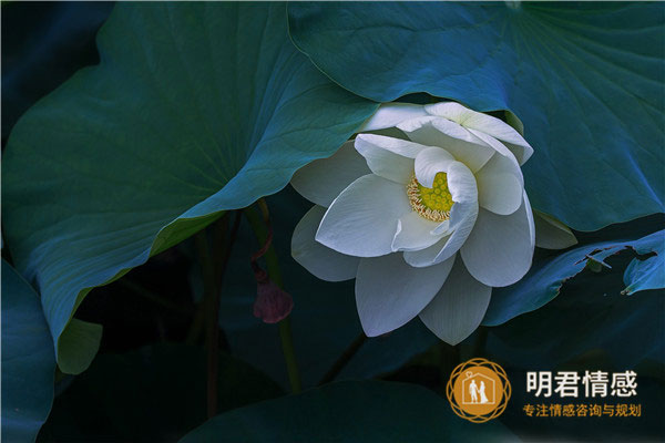 老公出轨了老婆该怎么处理才是最好的?老公外遇后心态调整的方法