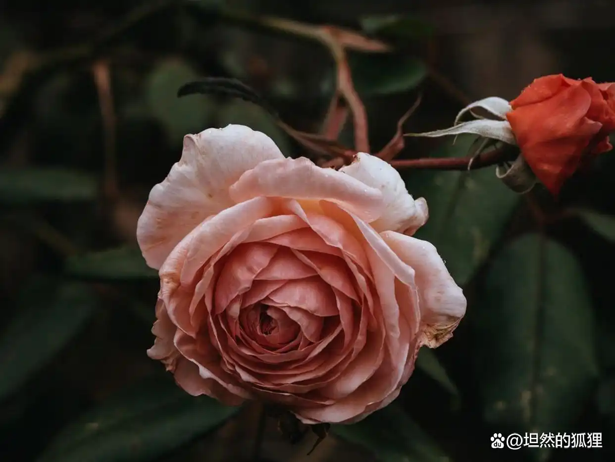 男人动了真心的明显表现：对你有了这些“心思”