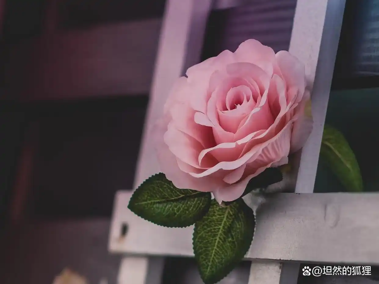人心话语_心里话藏心里的说说_藏在男人心里的话