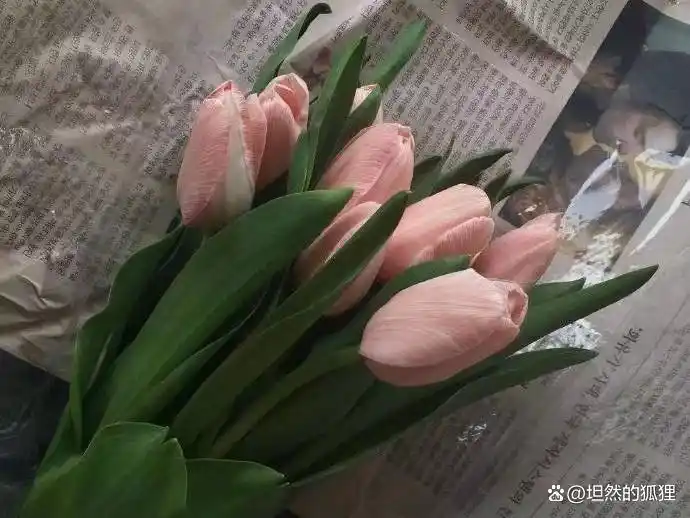 藏在男人心里的话_人心话语_心里话藏心里的说说