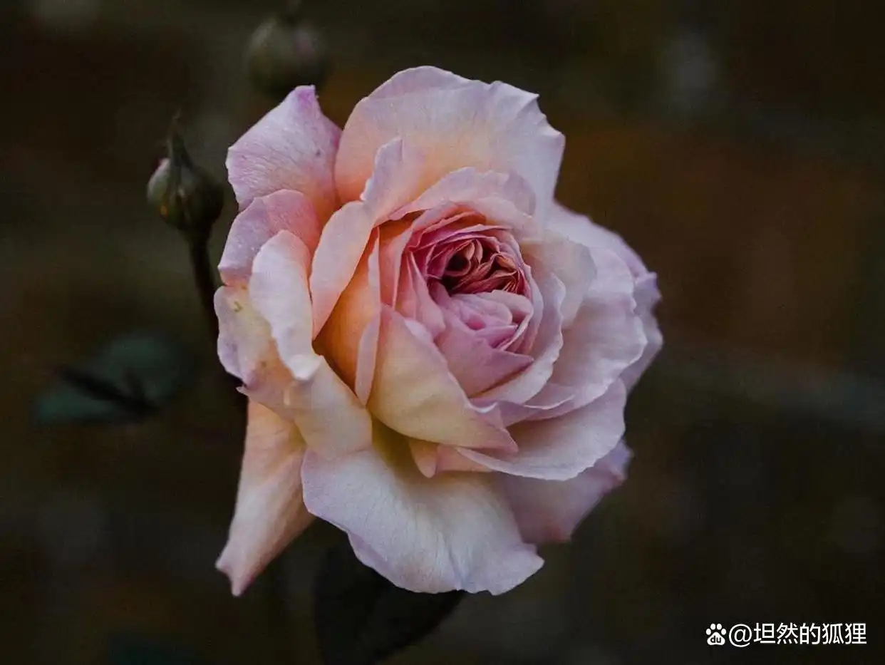 人心话语_心里话藏心里的说说_藏在男人心里的话
