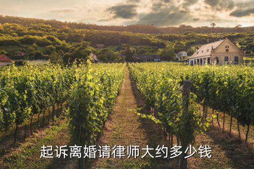 起诉离婚请律师大约多少钱