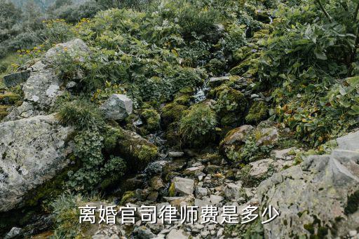 离婚官司律师费是多少