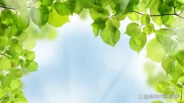 高情商追女生_追女孩情商高的话_追女生情商高表现在什么方面