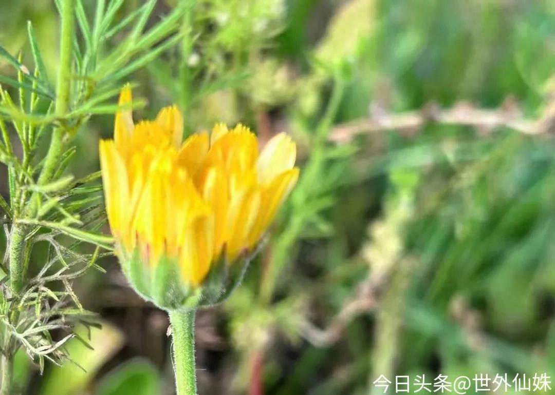 男人背叛后，妻子做这件事开始，才是真的“惩罚”