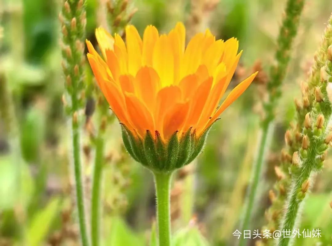中年婚姻危机处理_丈夫出轨老婆_情感修复技巧