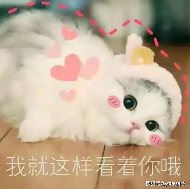 模糊邀约技巧_约女孩子不出来_邀约女生成功率
