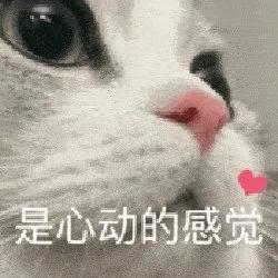 模糊邀约技巧_邀约女生成功率_约女孩子不出来