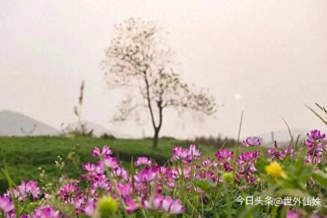 <b>两个人心里有没有对方，断联一次就知道了</b>