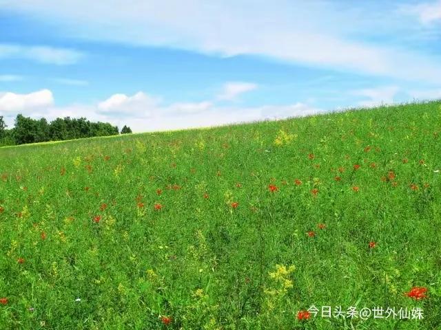 感情断联心理分析_异地恋怎么判断他在乎你_断联感情影响
