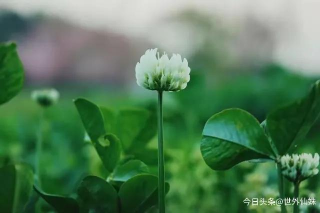 感情断联心理分析_断联感情影响_异地恋怎么判断他在乎你