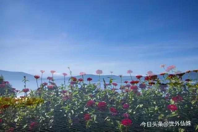感情断联心理分析_异地恋怎么判断他在乎你_断联感情影响